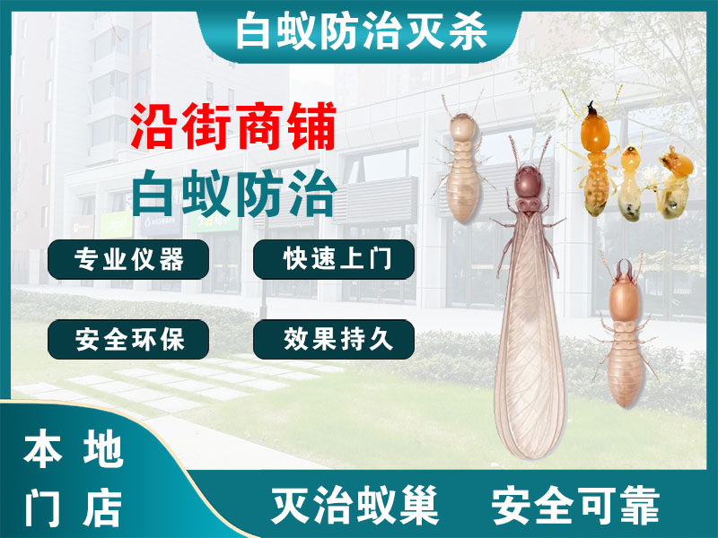 嘉定沿街商铺白蚁防治