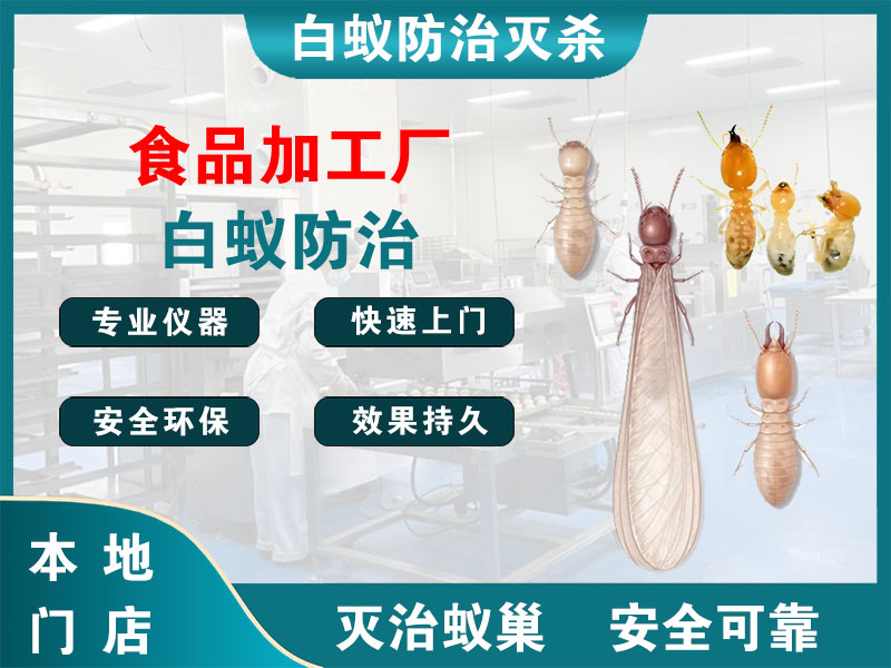 嘉定食品加工厂白蚁防治