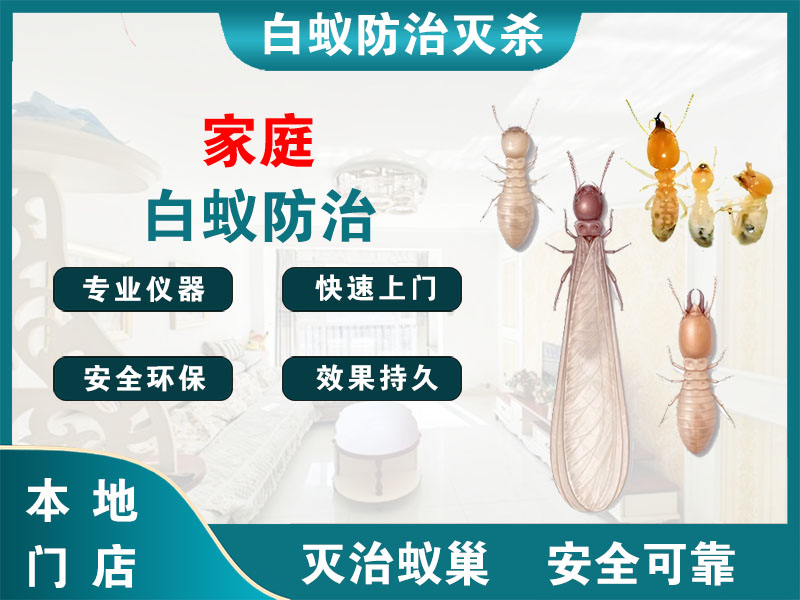 嘉定家庭白蚁防治