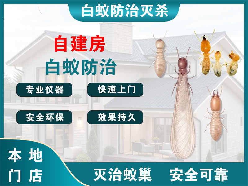 嘉定自建房白蚁防治