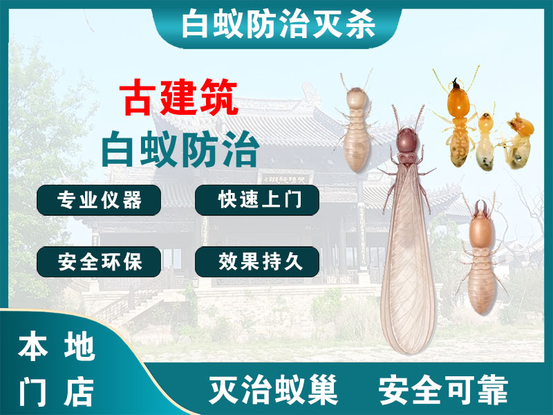 嘉定古建筑白蚁防治