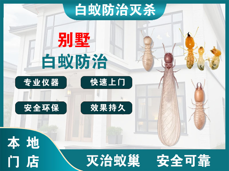 嘉定别墅白蚁防治