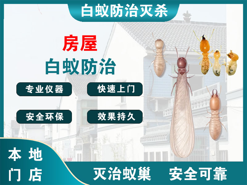 嘉定房屋白蚁防治